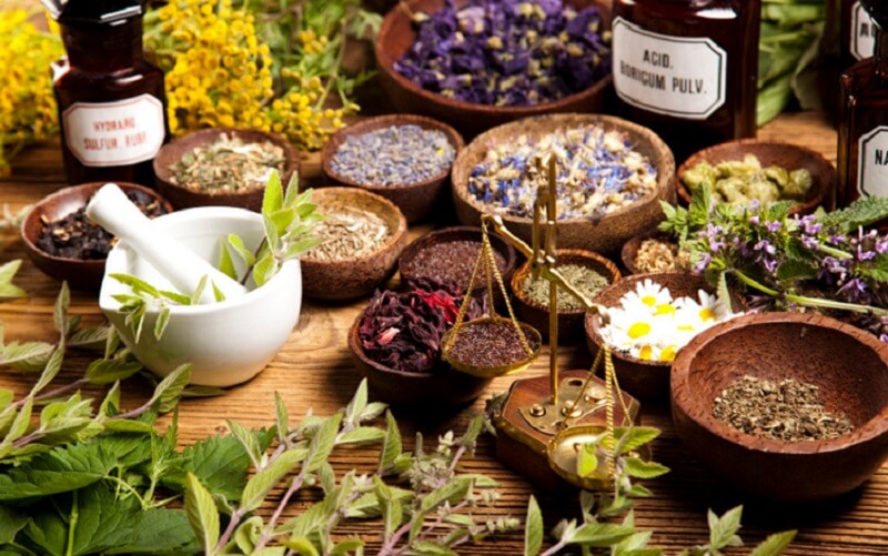 Plantas con propiedades antimicrobianas
