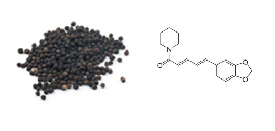 piperina de la pimienta negra (Piper nigrum)