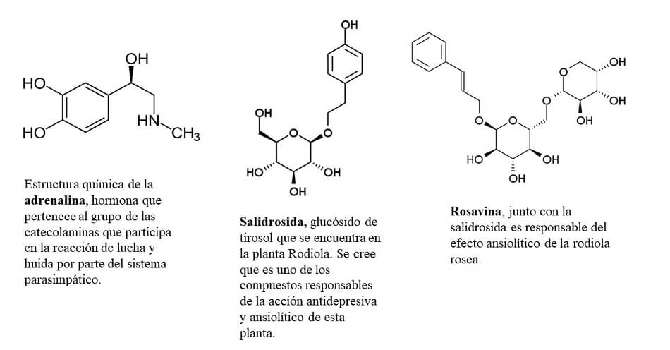 Salidrosida y rosavina