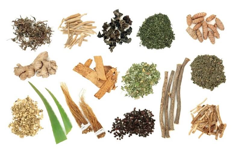 Las plantas adaptógenas son biorreguladores naturales frente al estrés