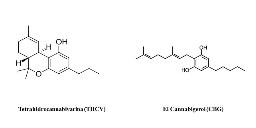 THCV y CBG