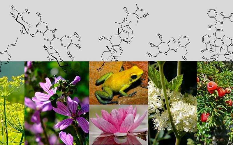 Productos naturales