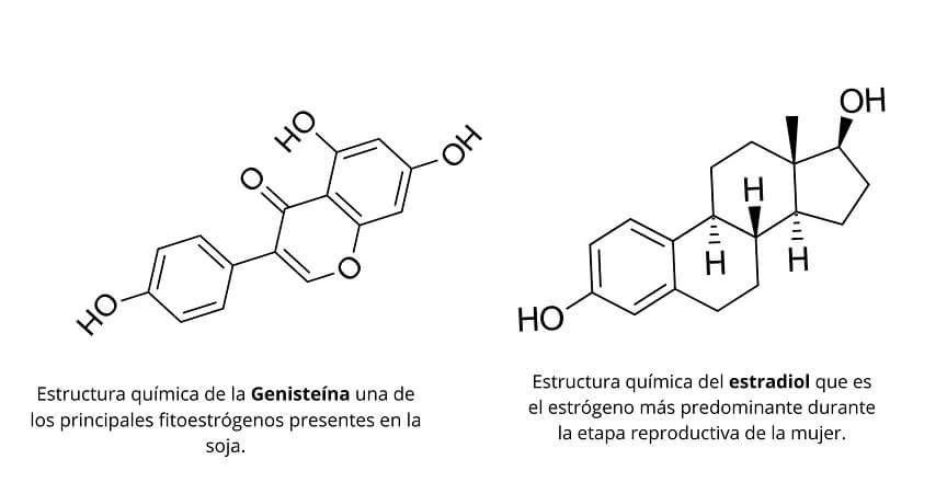 Genisteína y estradiol
