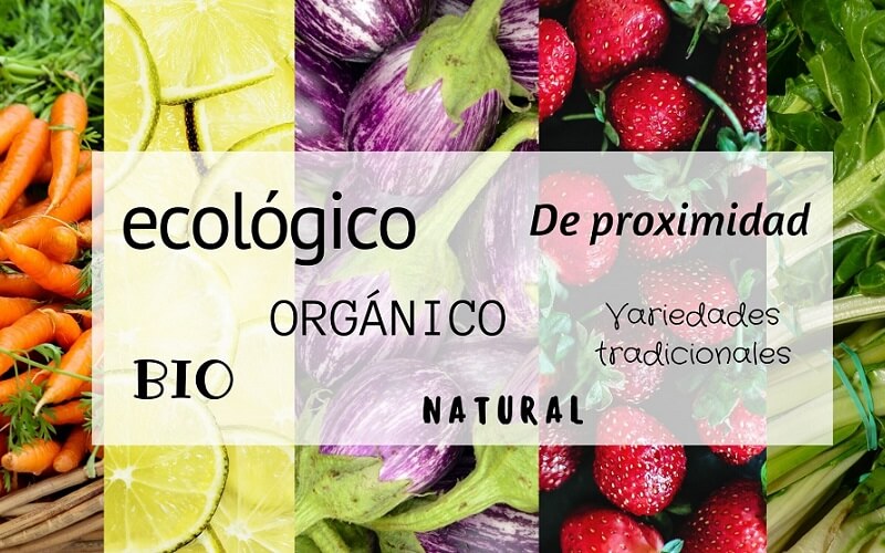 ¿Por qué consumir alimentos ecológicos?