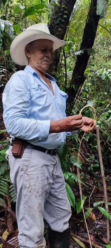 Don Raúl en el bosque