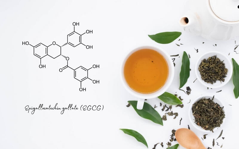 3-galato de epigalocatequina (EGCG) en el té verde