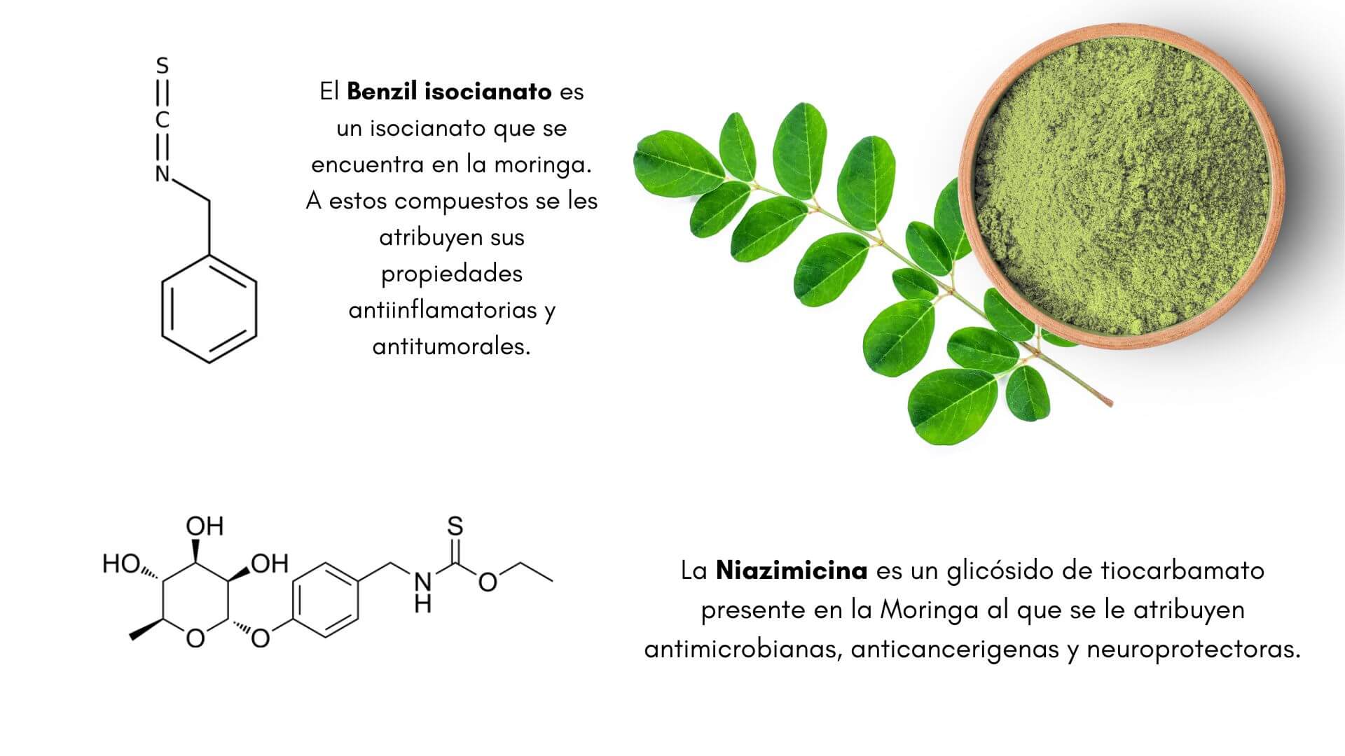 Compuestos activos de la Moringa: isocianatos y niazimicina
