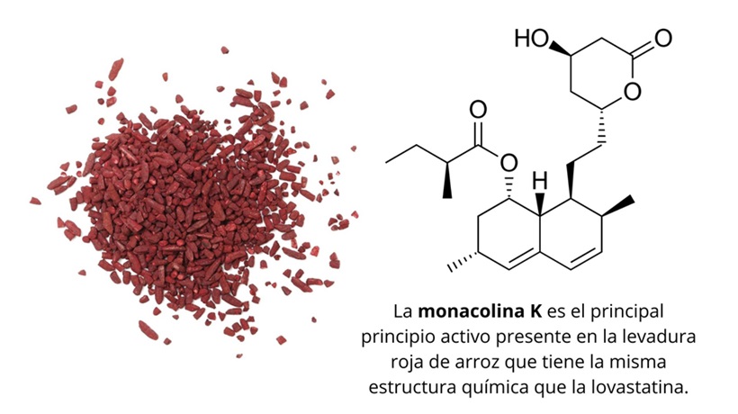 Monacolina K: principio activo de la levadura roja de arroz